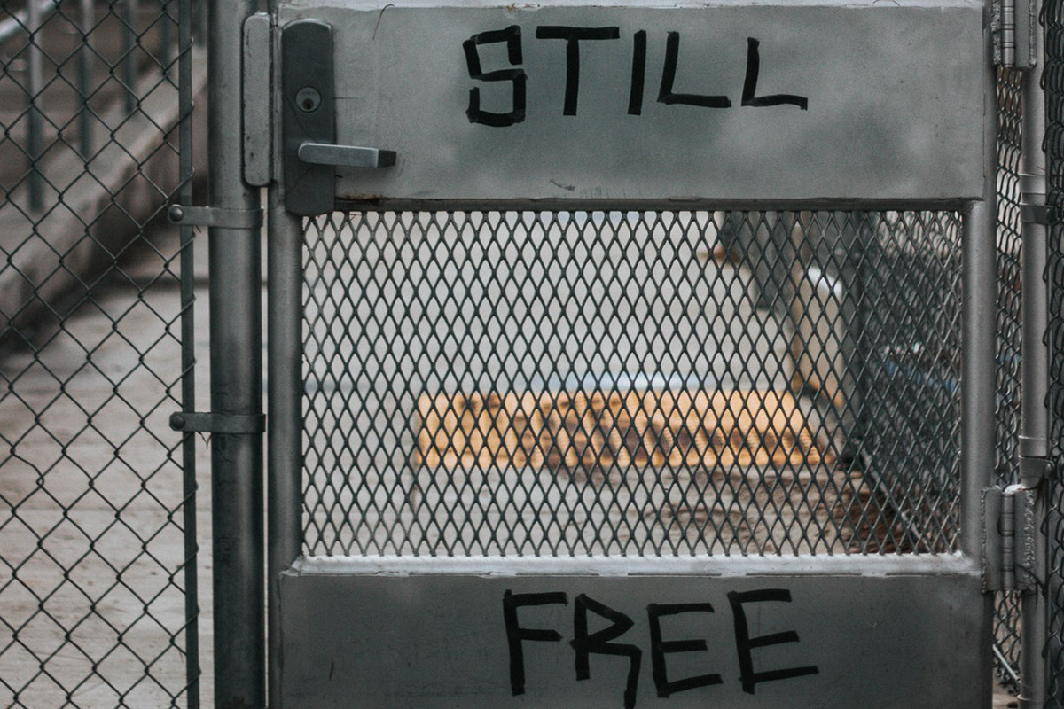 Corée du Sud : 24h en prison pour échapper au stress du travail