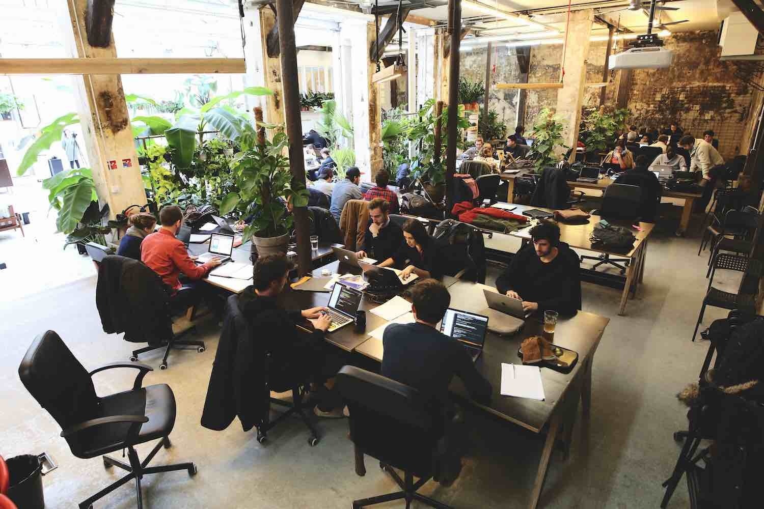 ClaraVista, Voodoo, Orangina... : les entreprises qui recrutent