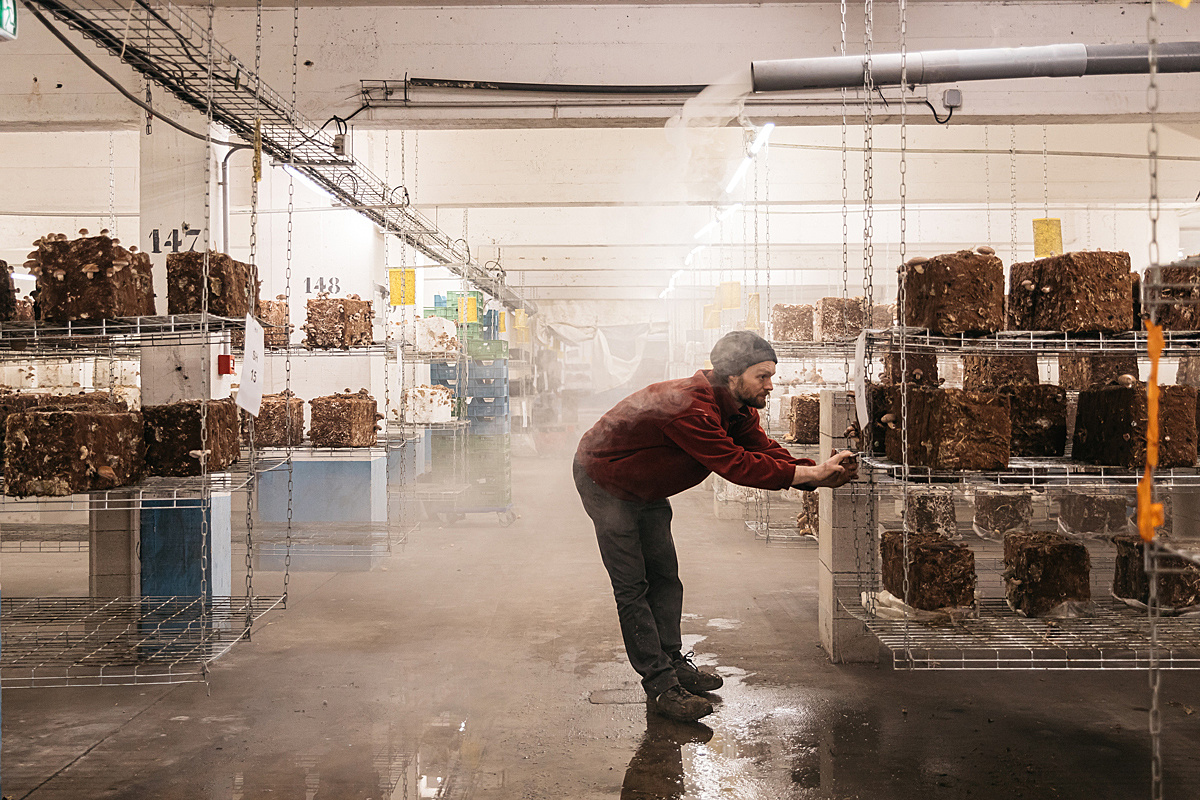 Agriculteur urbain : rencontre dans un parking parisien