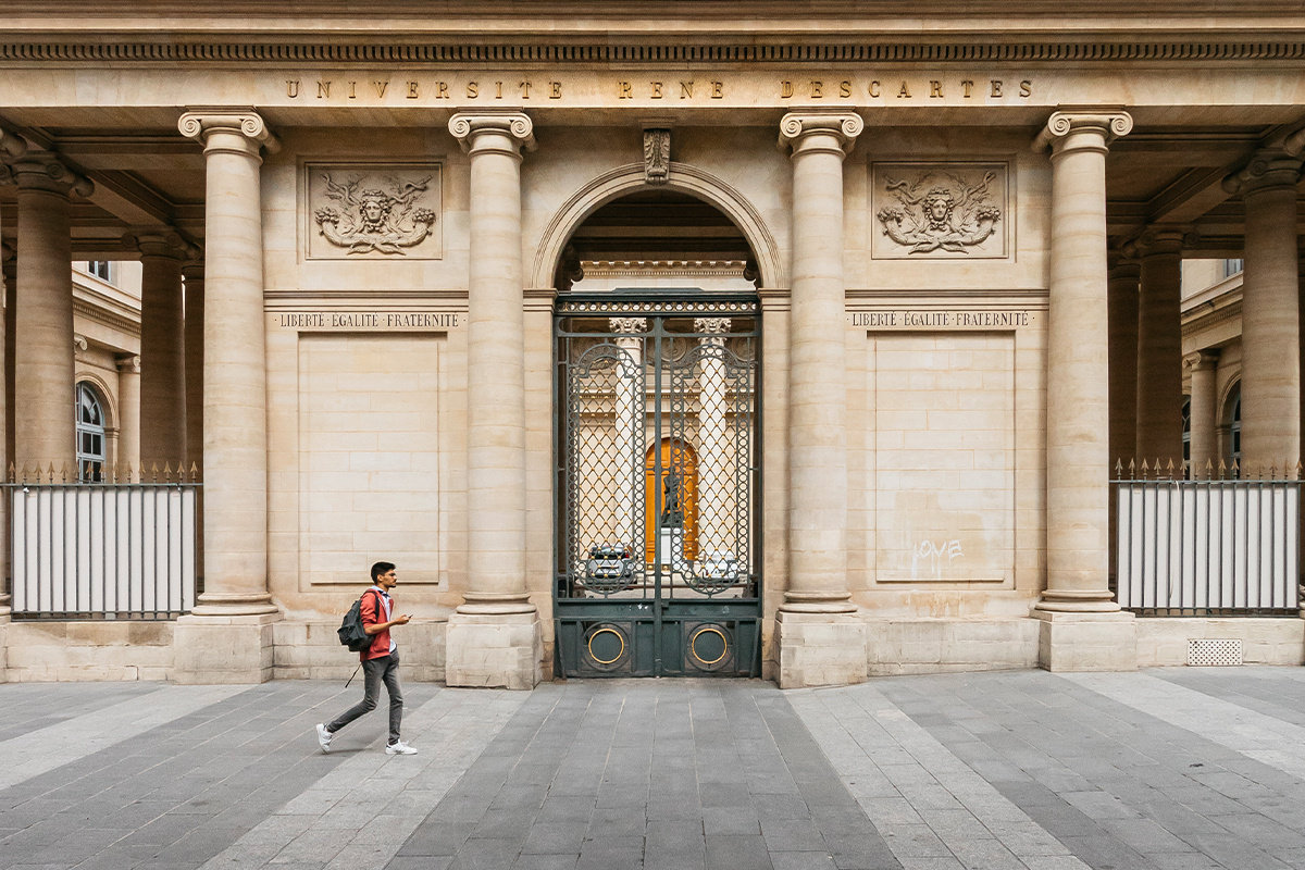 Ecole VS université : quelle formation pour s'orienter ?