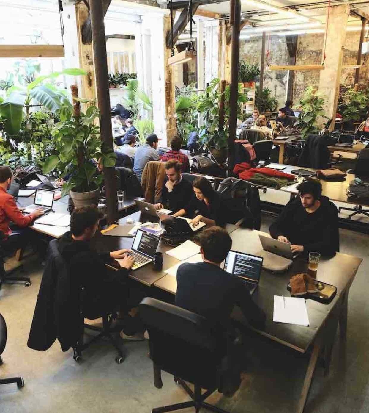 Les entreprises qui recrutent !